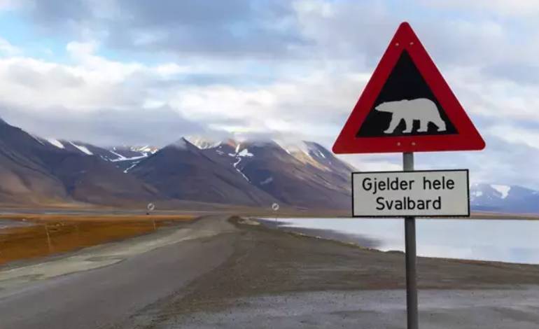 Resmi Gazete'de yayımlandı! Artık siz de Norveç'in adasında mülk edinebilirsiniz 5